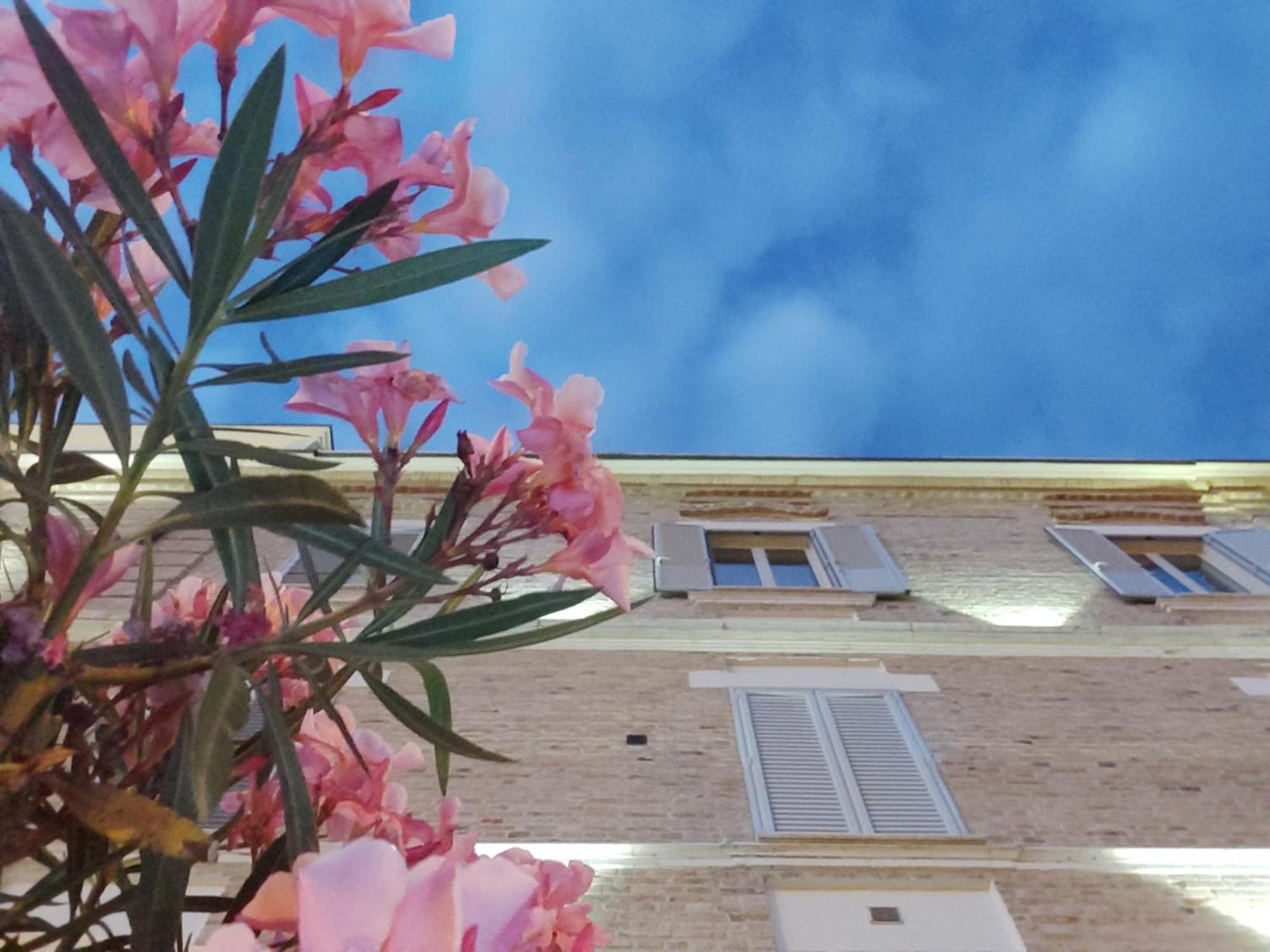 Villa Contessina Cossignano エクステリア 写真